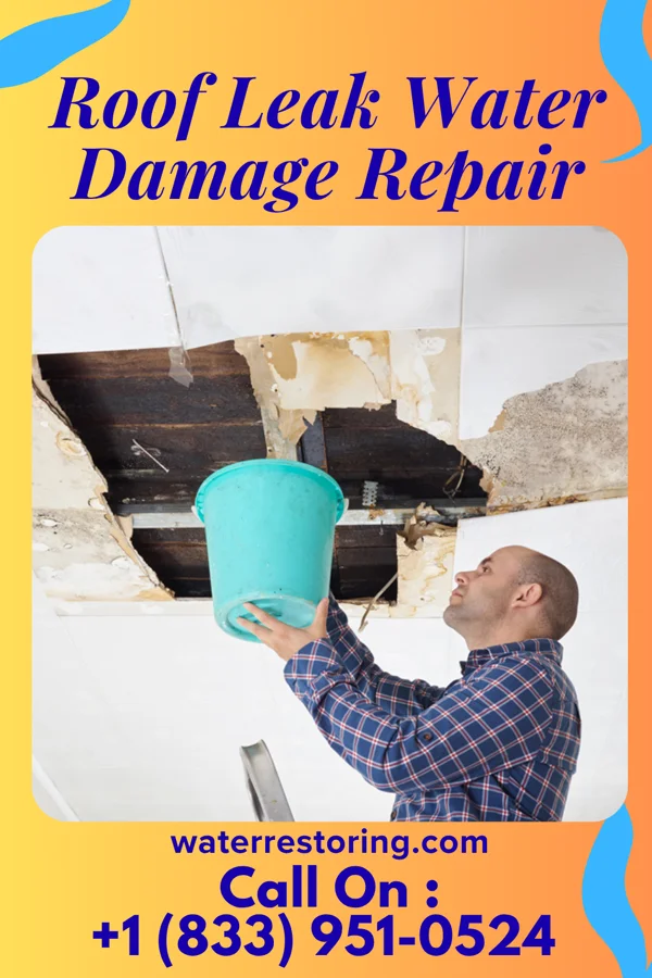 Roof Leak Water Damage Repair in Coral Springs, FL